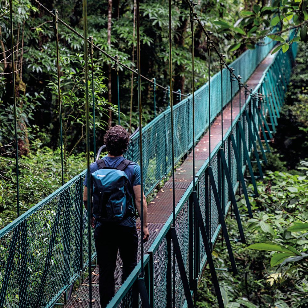 Ortlieb Packman Pro Two